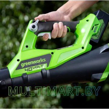 Воздуходувка Greenworks G40AB (без АКБ) картинка 4